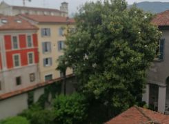 Vista