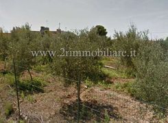Terreno agricolo in vendita