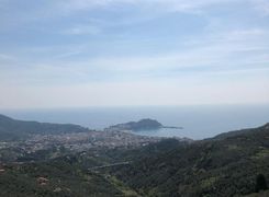 Vista