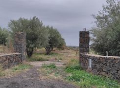 Terreno agricolo in vendita
