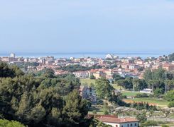 Vista