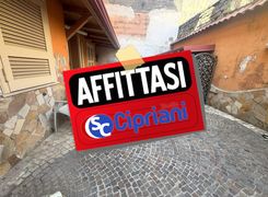 Trilocale in affitto