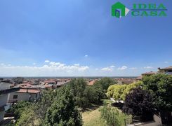 Vista