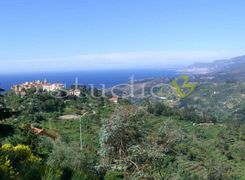 Terreno edificabile in vendita