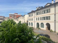 Vista