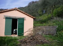 Terreno agricolo in vendita