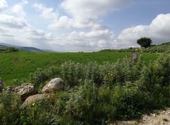 Terreno agricolo in vendita
