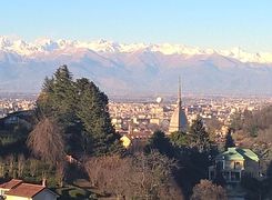 Vista