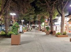 Area comune