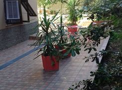Terrazza