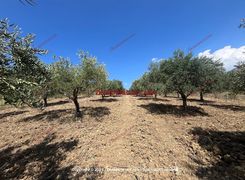 Terreno edificabile in vendita