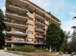 Vista