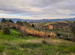 Vista