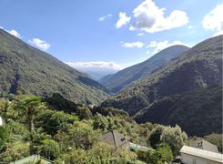 Vista