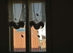 Trilocale in affitto