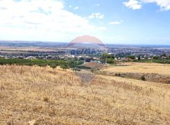 Terreno agricolo in vendita