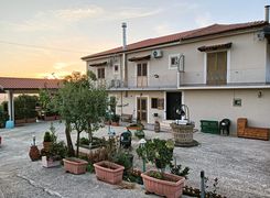 Vista