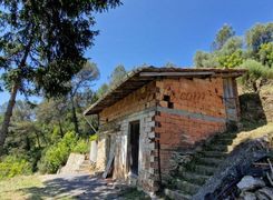 Terreno agricolo in vendita