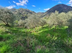 Terreno agricolo in vendita