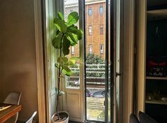 Terrazza