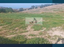 Terreno agricolo in vendita