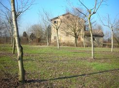 Terreno agricolo in vendita