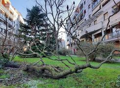 Quadrilocale in affitto