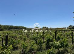 Terreno agricolo in vendita