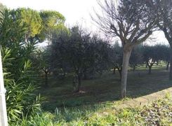 Terreno agricolo in vendita