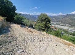 Terreno agricolo in vendita
