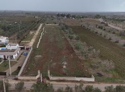 Terreno agricolo in vendita