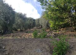 Terreno agricolo in vendita