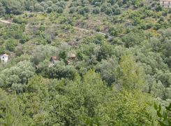 Terreno agricolo in vendita