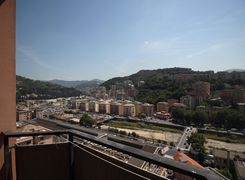 Vista