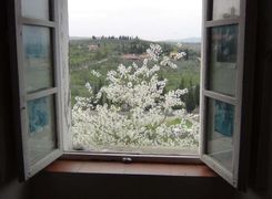 Casa Bi/Trifamiliare in vendita