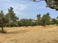 Terreno agricolo in vendita