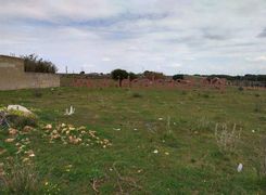 Terreno agricolo in vendita