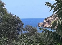 Vista