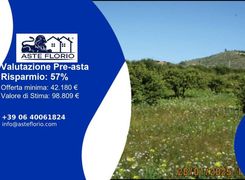 Terreno agricolo in vendita