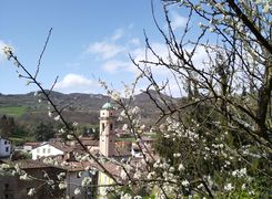 Vista