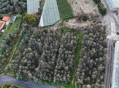 Terreno agricolo in vendita