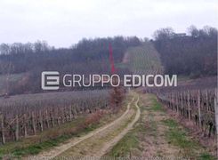 Terreno agricolo in vendita