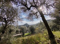 Terreno agricolo in vendita
