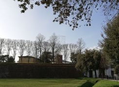Capannone in vendita