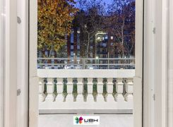 Vista