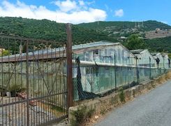 Terreno agricolo in vendita