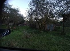 Terreno agricolo in vendita