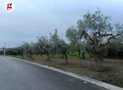 Terreno edificabile in vendita