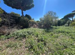 Terreno agricolo in vendita