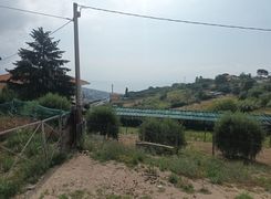 Terreno agricolo in vendita